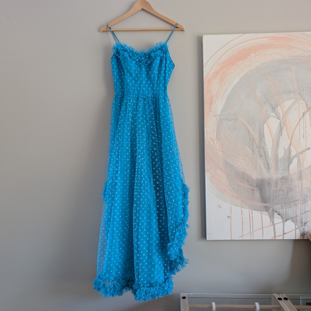 Blue Polka Dot Maxi Dress